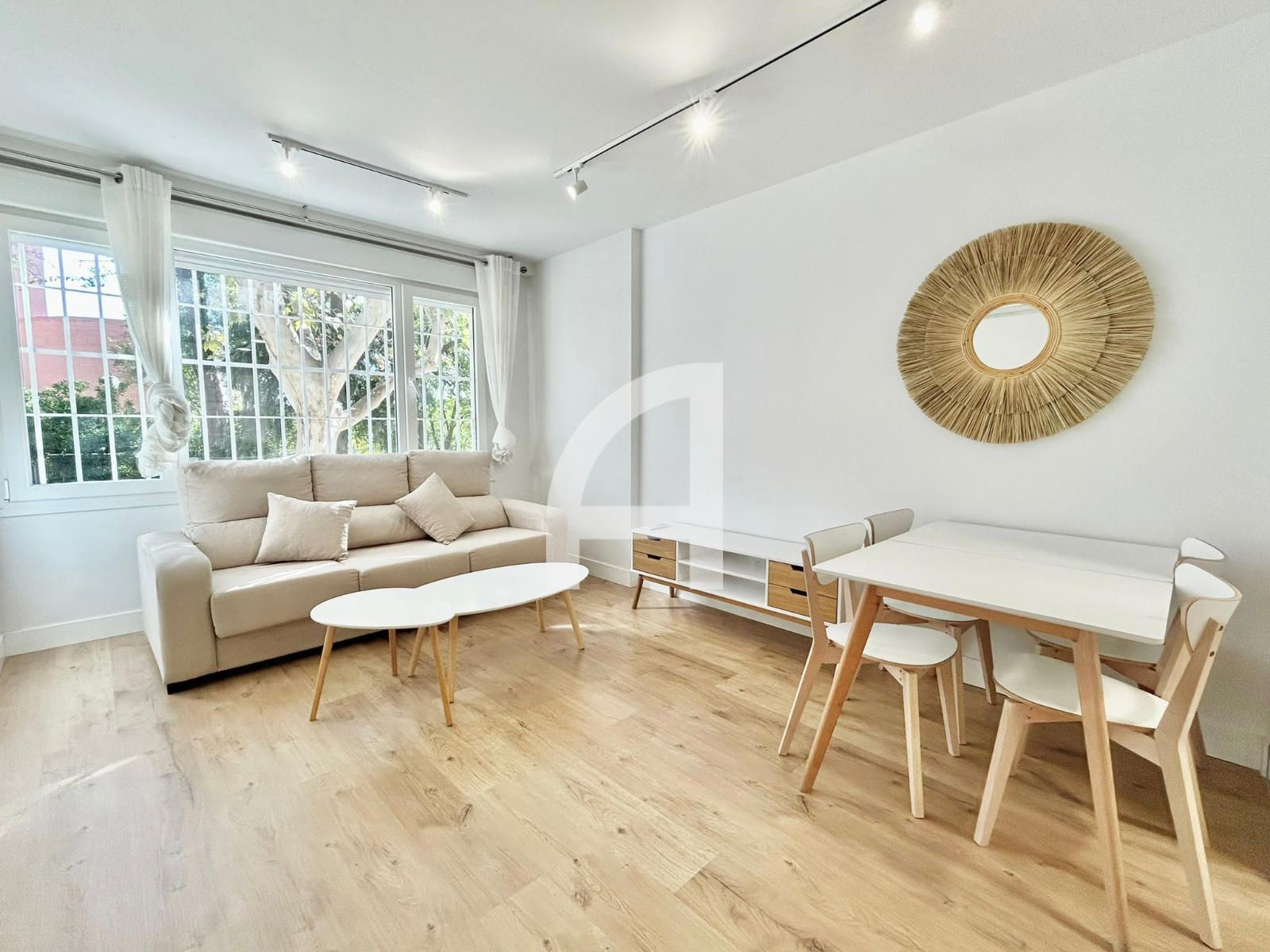 Living room of Flat to rent in  Madrid Capital  with Air Conditioner, Heating and Furnished