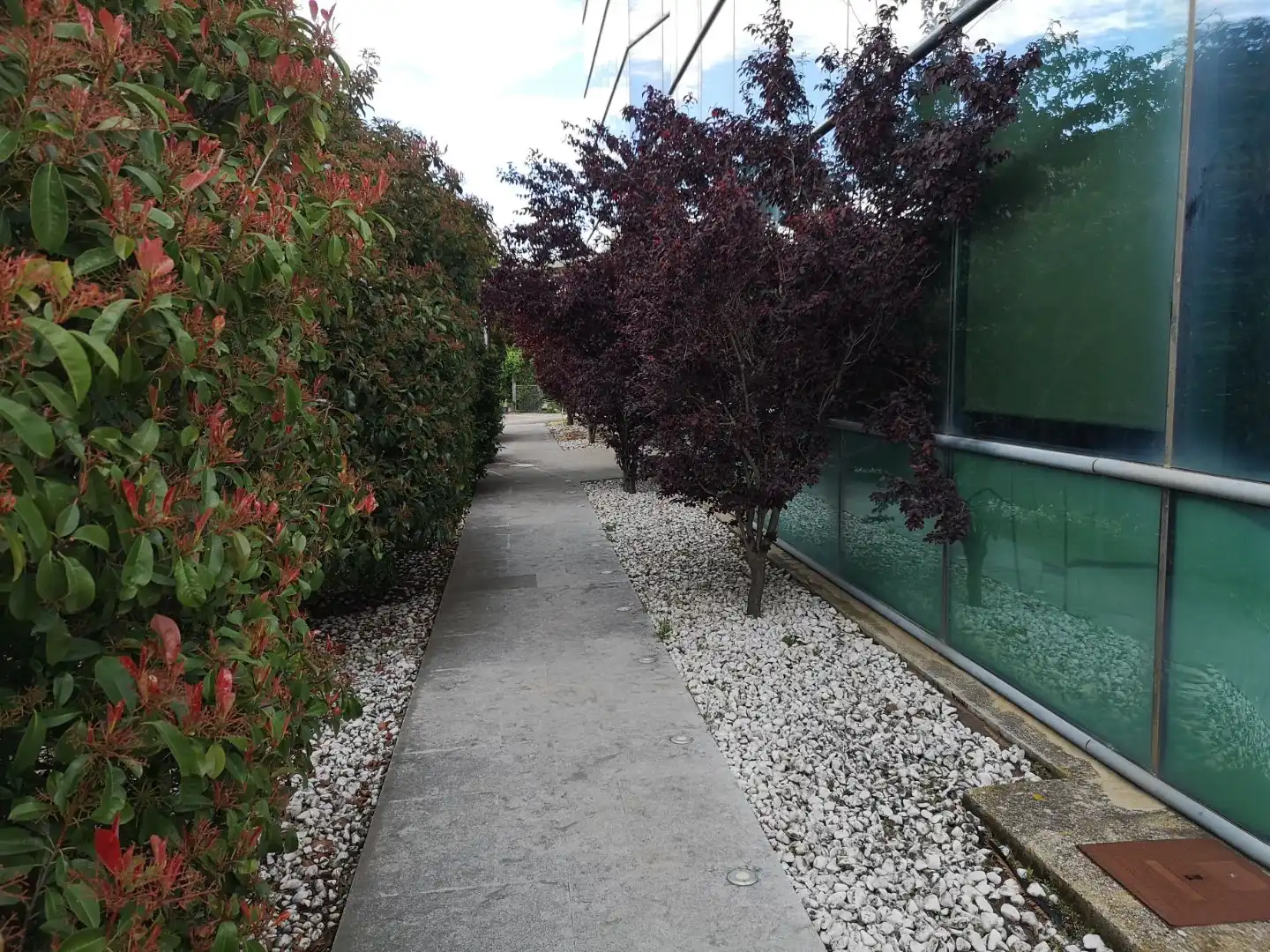 Oficina de lloguer en Maçanet de la Selva amb Aire condicionat, Calefacció i Moblat