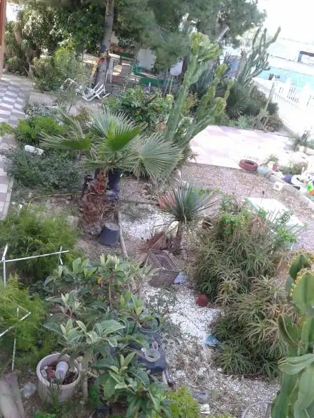 Villa avec piscine à vendre à Crevillent, imagen 12