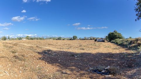 Photo 3 of Land for sale in Ma-3321, Manacor Centre, Manacor