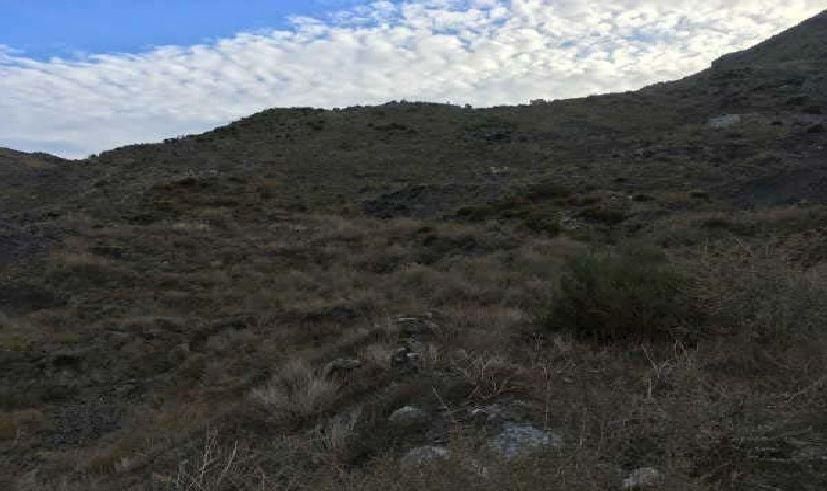Land for sale in Cuevas del Almanzora