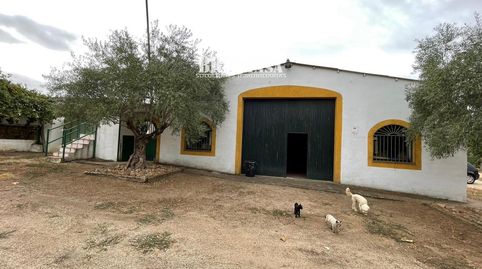 CHALET  FINCA EN CÁCERES, imatge 4