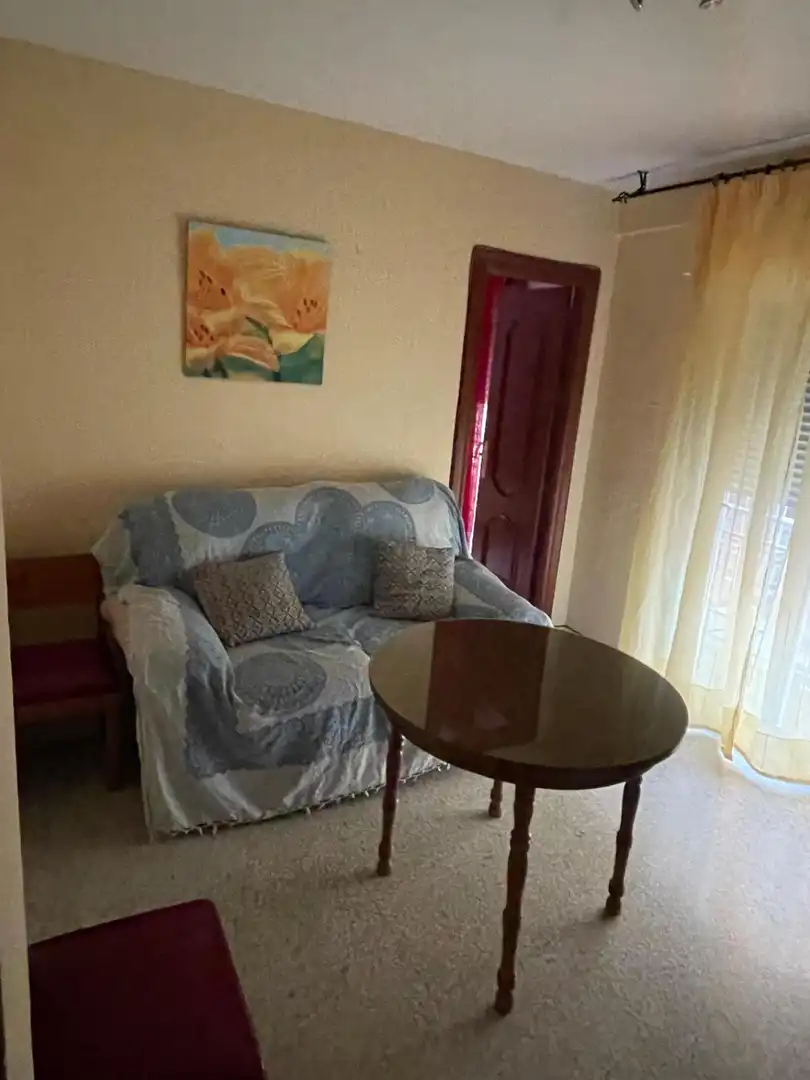 Sala d'estar de Pis de lloguer en Granada amb Calefacció, Moblat i Balcó