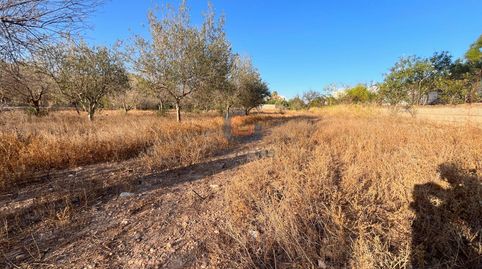 Photo 4 of Residential for sale in Sol y Luz, San Vicente del Raspeig / Sant Vicent del Raspeig