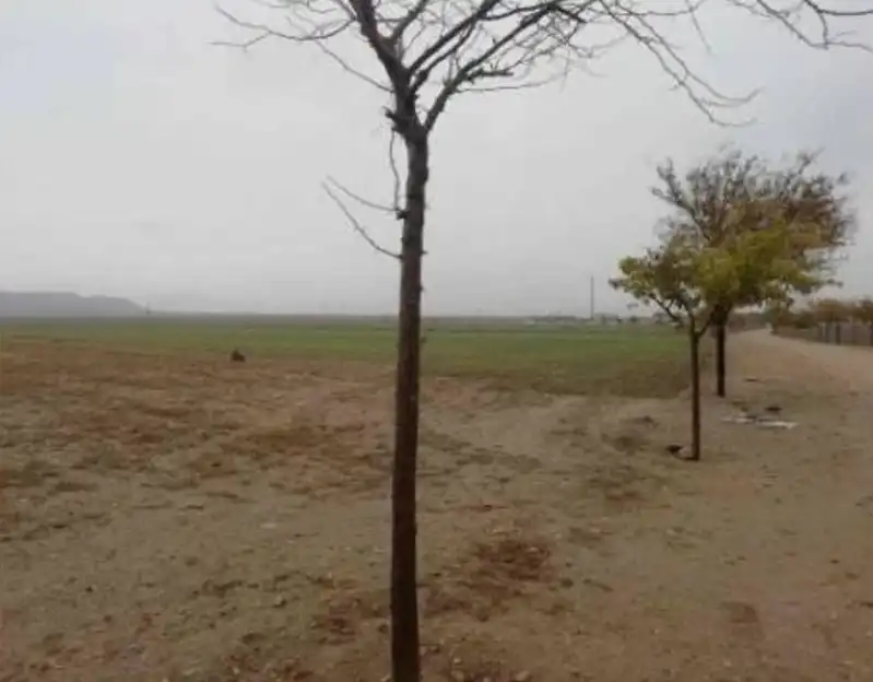 Terreno rustico in vendita a Villaseca de la Sagra, imagen 2