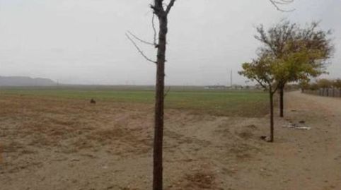 SE VENDE FANTÁSTICO SOLAR RÚSTICO EN VILLASECA DE LA SAGRA (TOLEDO), imatge 2