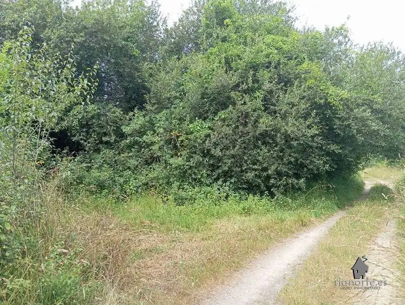 Terreni e lotti in vendita a Pillarno, imagen 4