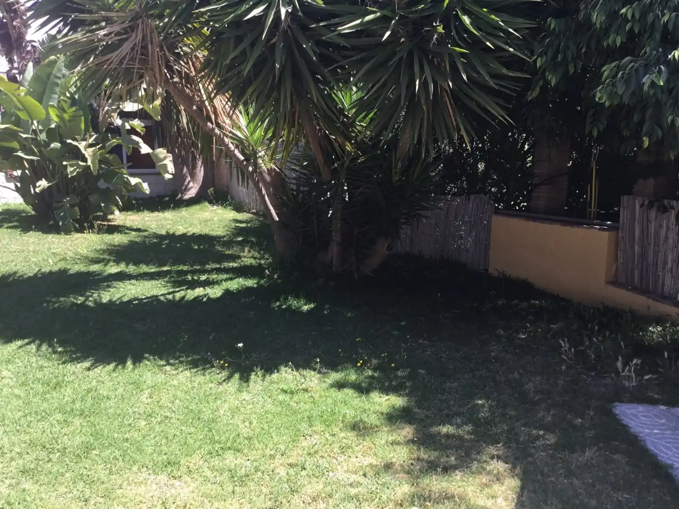 Edificio en venta en Almayate