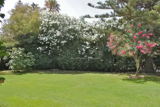 Jardí de Casa o xalet de lloguer en Sotogrande amb Aire condicionat, Calefacció i Jardí privat