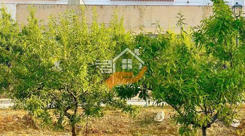 Edificio en venta en VélezRubio, 2 dormitorios.