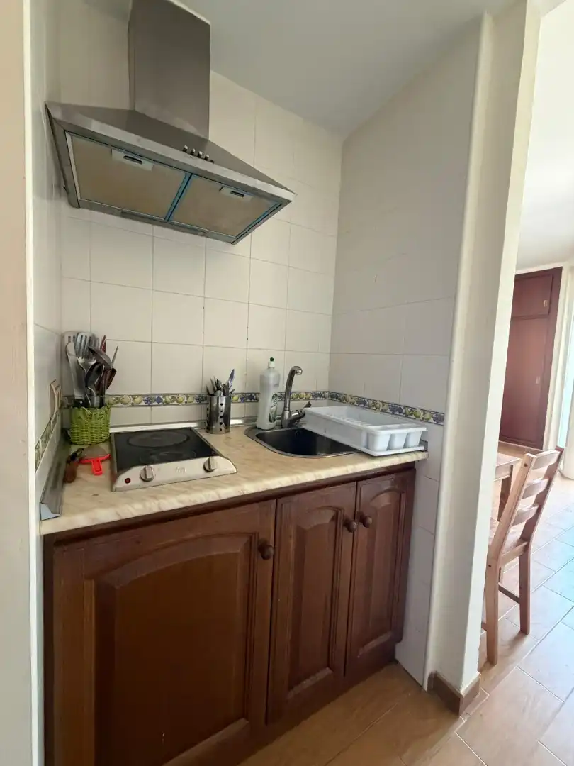 Studio mit Pool zum Verkauf in Calle Pontevedra 32, imagen 4