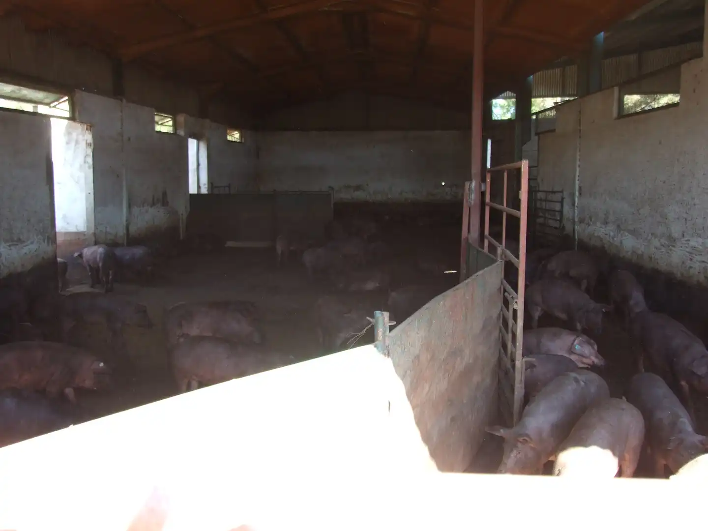 Terreno rustico in vendita a Carretera Fuente del Maestre-Huerta Julián 44, imagen 7