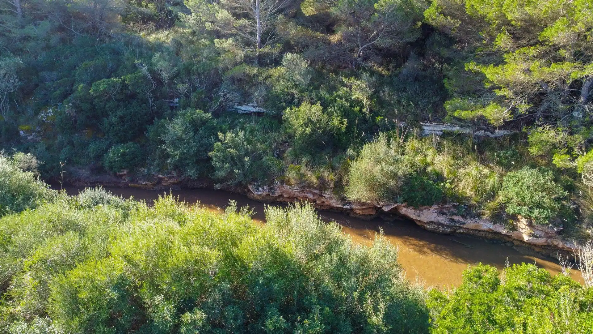 Terrenys i solars en venda a S'Estanyol, imagen 8