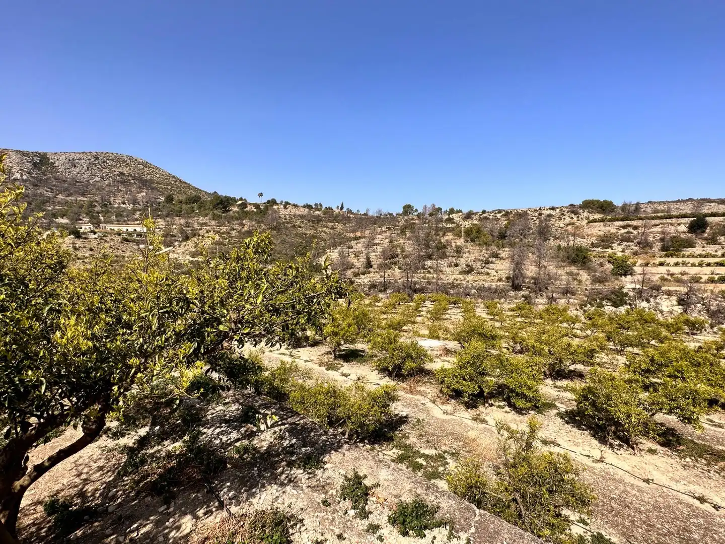 Residencial en venta en L'Atzúbia