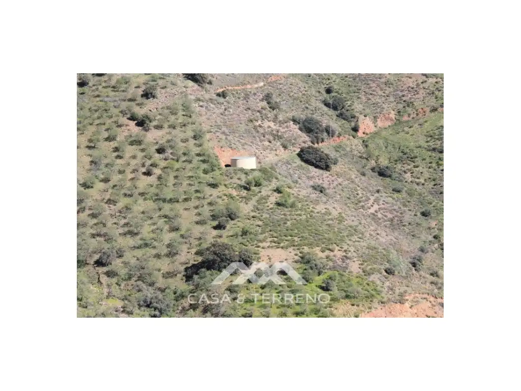 Residential for sale in El Borge