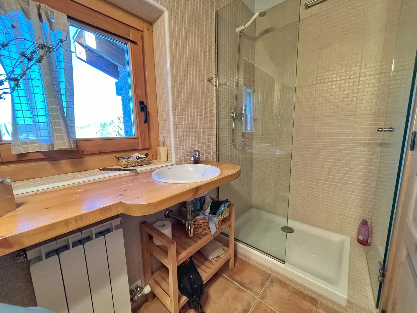 Baño de Casa o chalet en venta en Alp poble