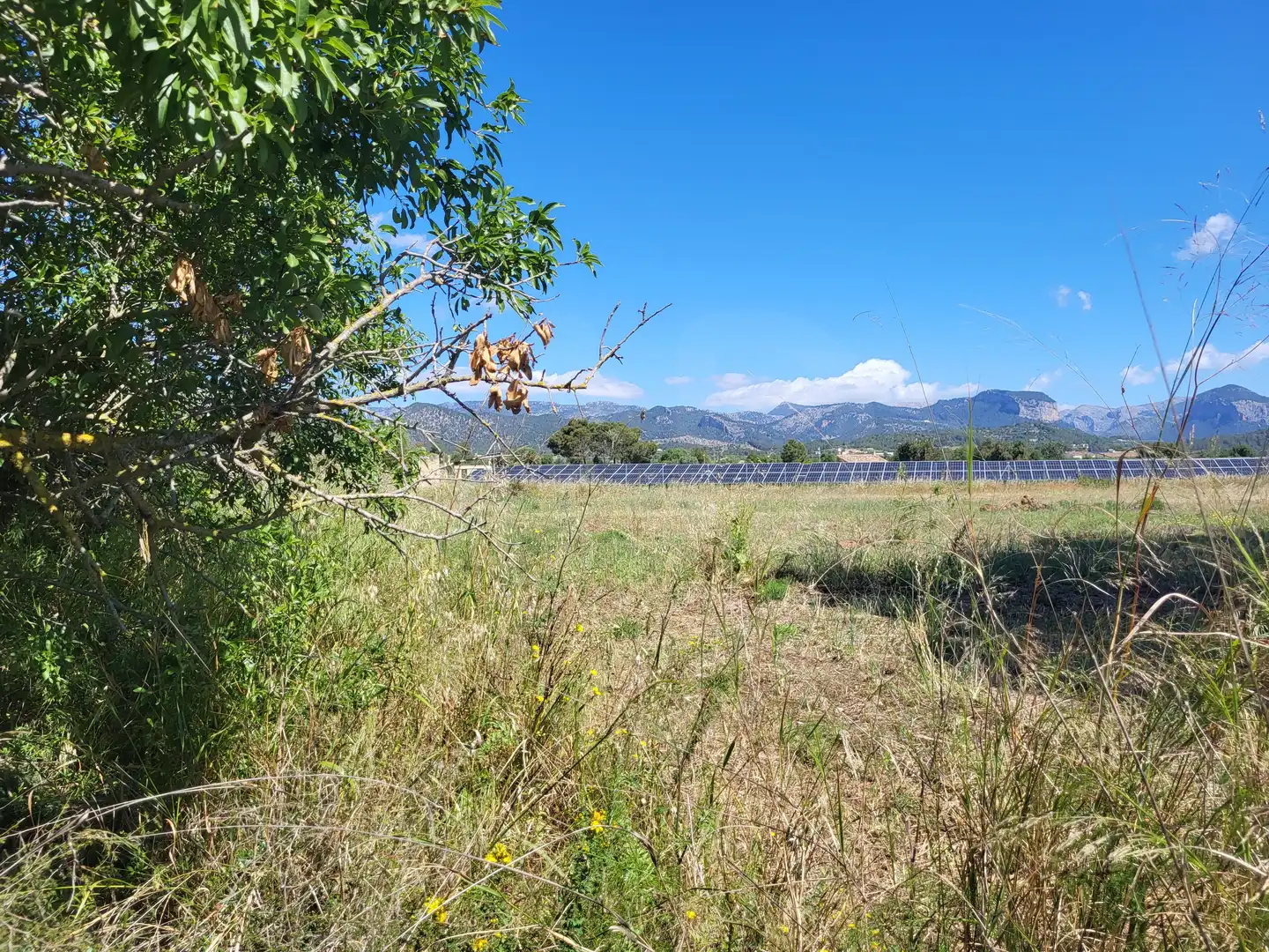 Terrain rustique à vendre à Polígono 2 Parcela 1, imagen 30