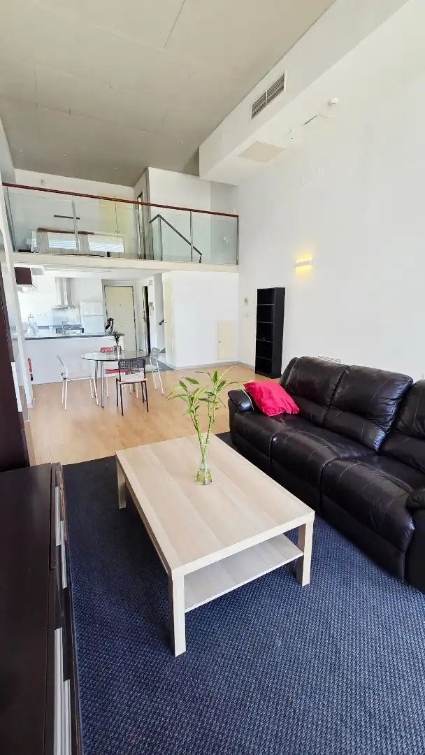 Lofts for sale in Carrer de la Creu Roja, Vara de Quart