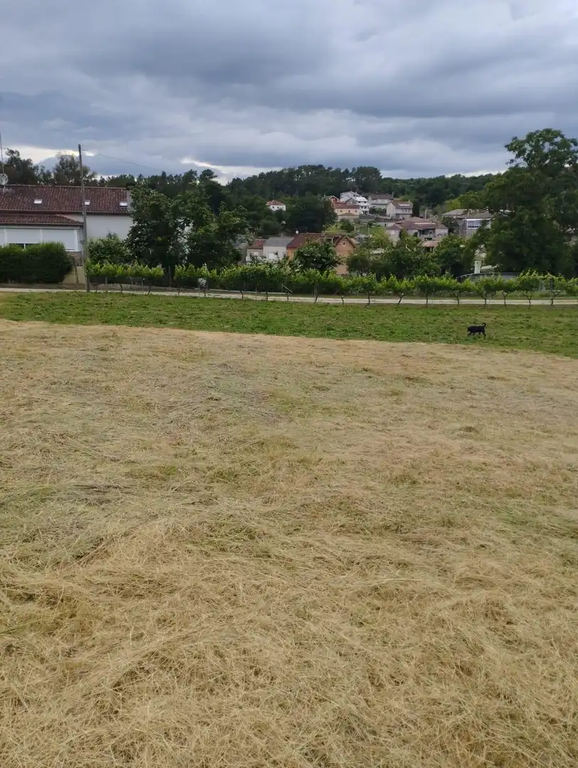 Terrenys i solars en venda a Amoeiro, imagen 5