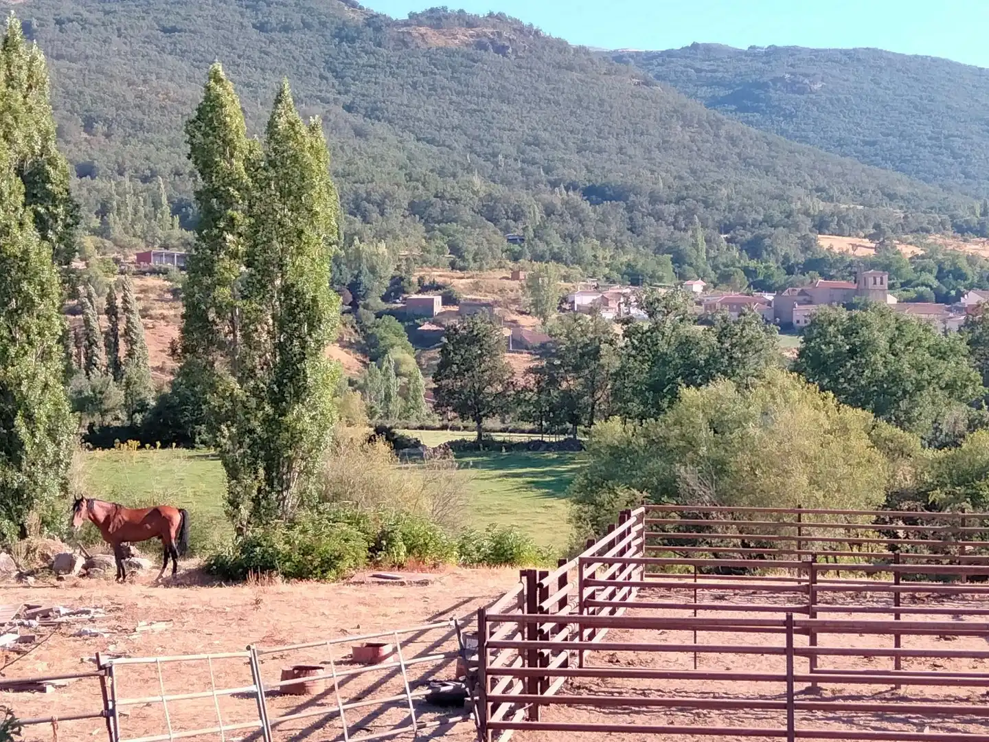 Vista exterior de Casa adosada en venta en Navacepedilla de Corneja con Calefacción y Trastero