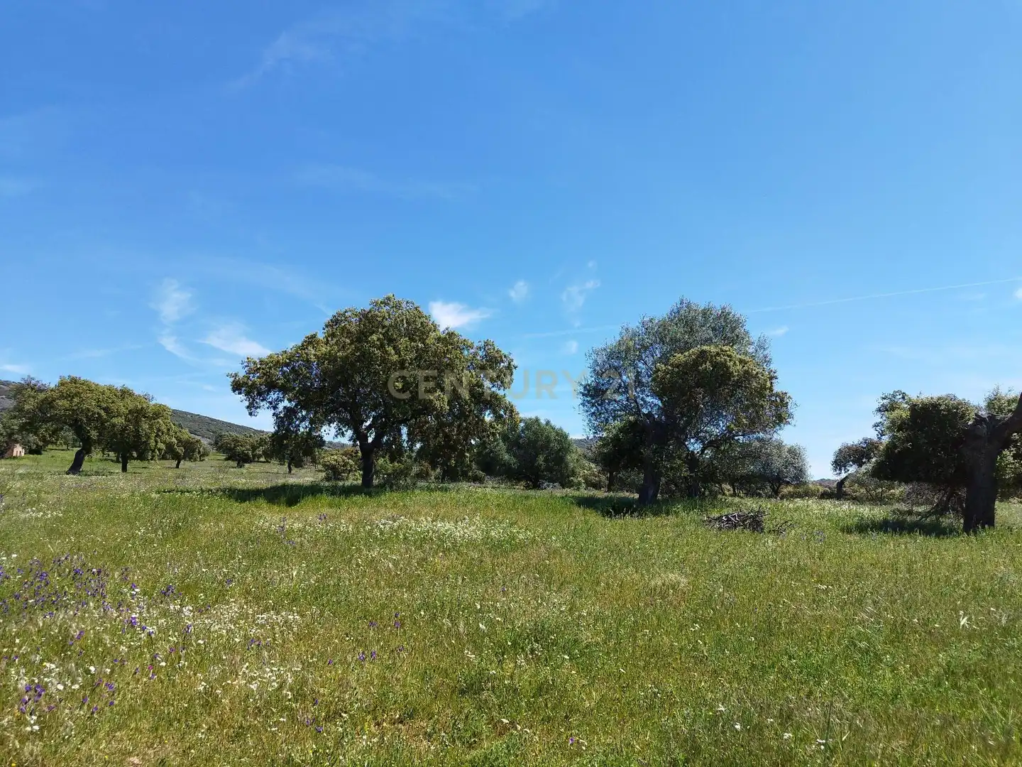 Terreni e lotti in vendita a 06430 Zalamea de la Serena, Spain, imagen 11