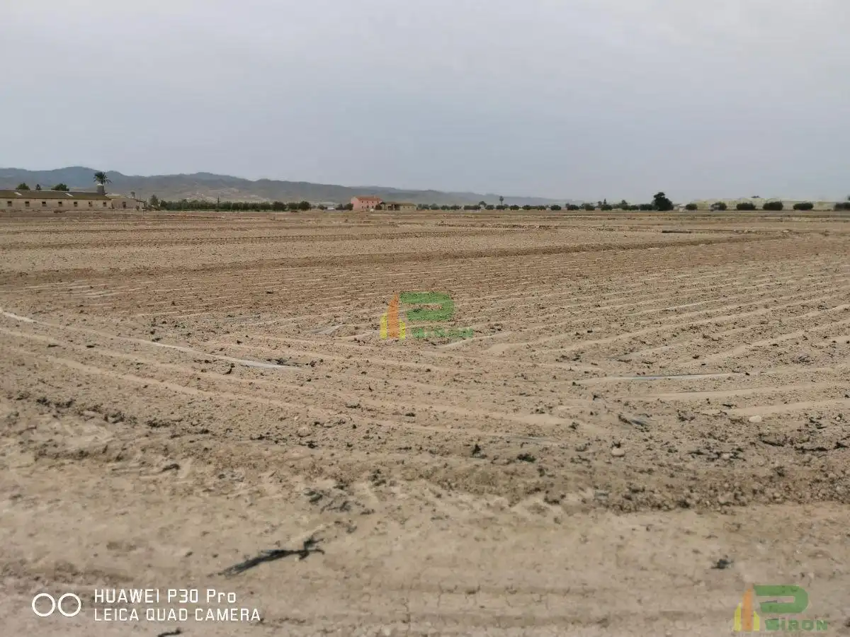 Lands and plots for sale in Pedanías Centro, imagen 8