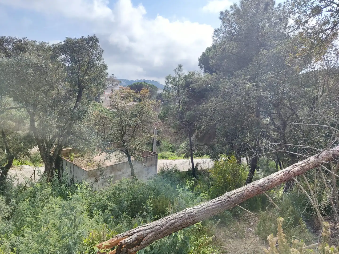 Grundstücke und Bauplätze zum Verkauf in Lloret Residencial - Montlloret, imagen 9