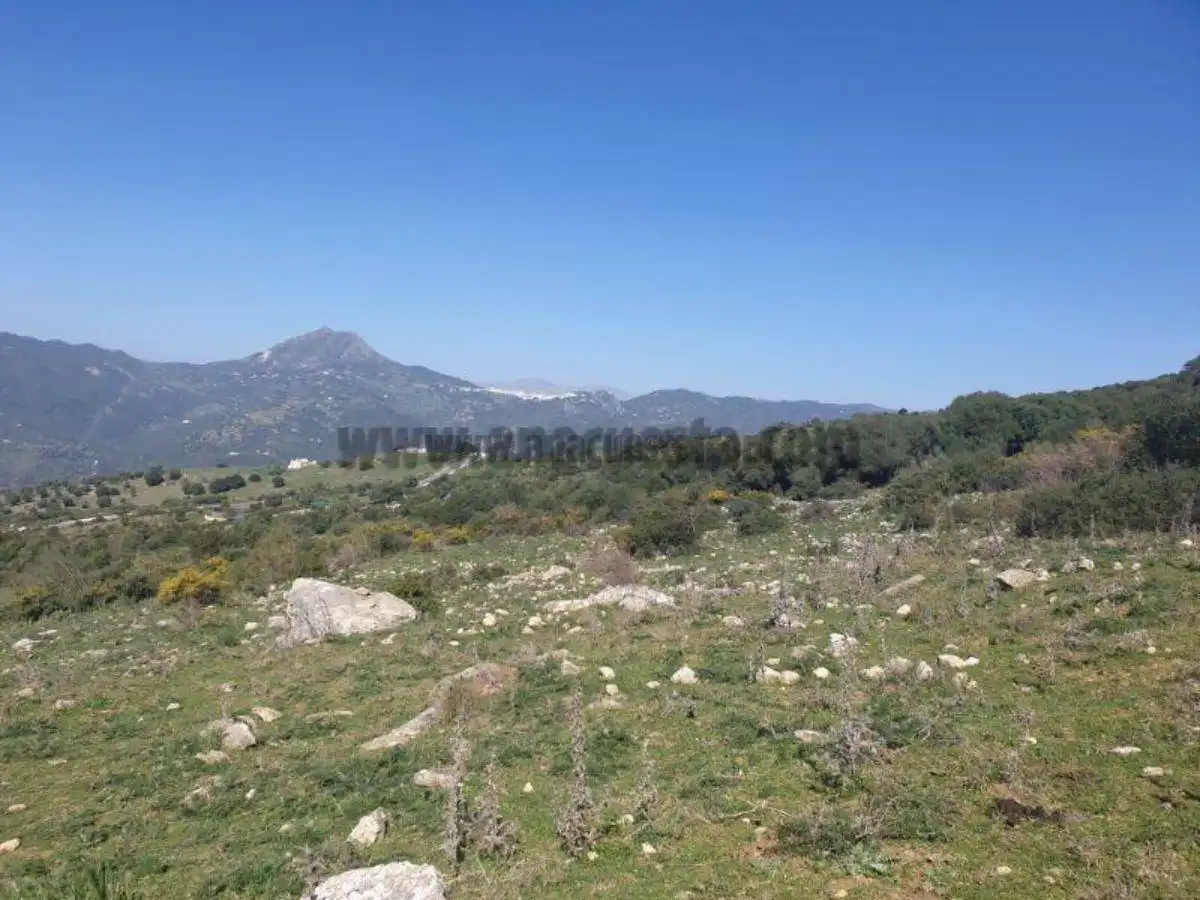 Residencial en venda a Casares, Málaga