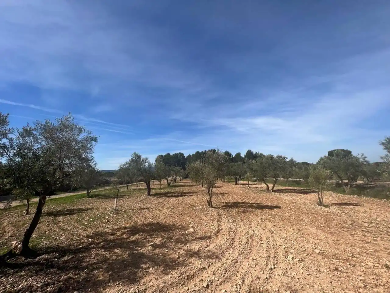 Chalet con jardín en venta en Calle Poligono, imagen 74