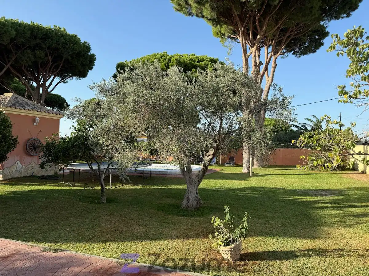 Villa mit Terrasse zur Miete in C. de Nador, imagen 49