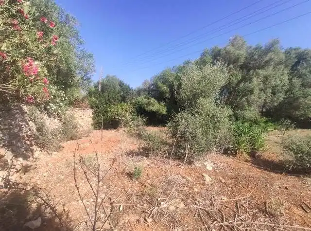 Landhaus mit Garten zum Verkauf in Ciutadella, imagen 18