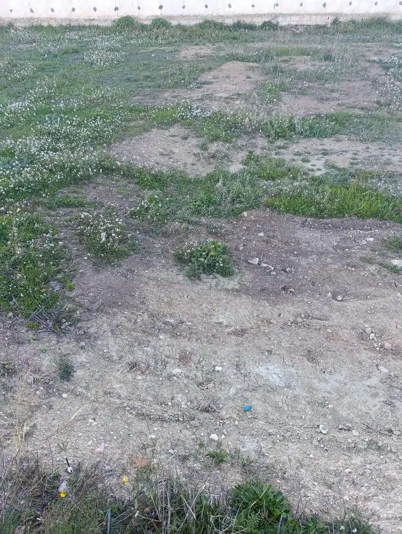 Terreni e lotti in vendita a Bullas, imagen 7