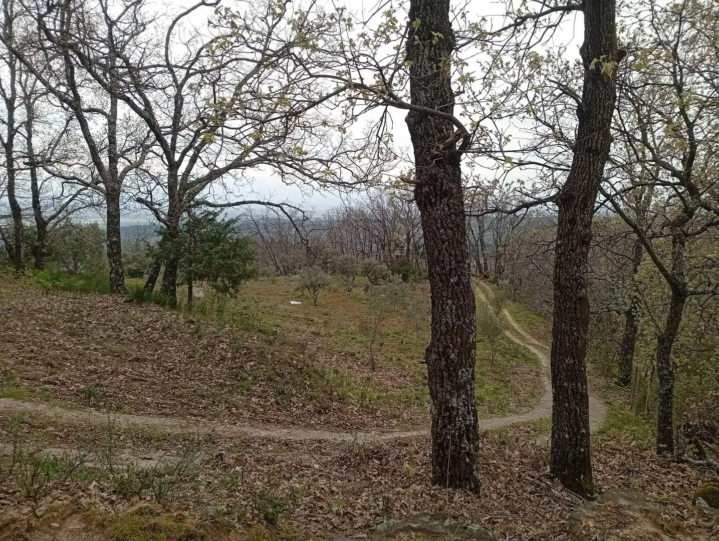 Terreni e lotti in vendita a Valverde de la Vera, imagen 12