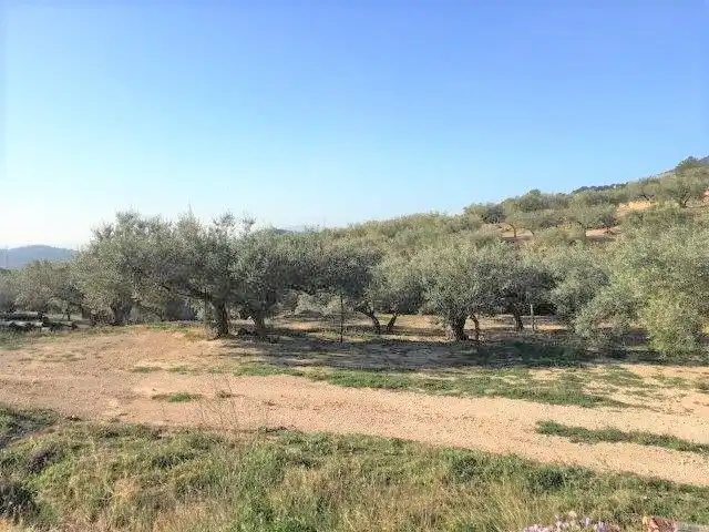 Casa o xalet en venda en Tortosa