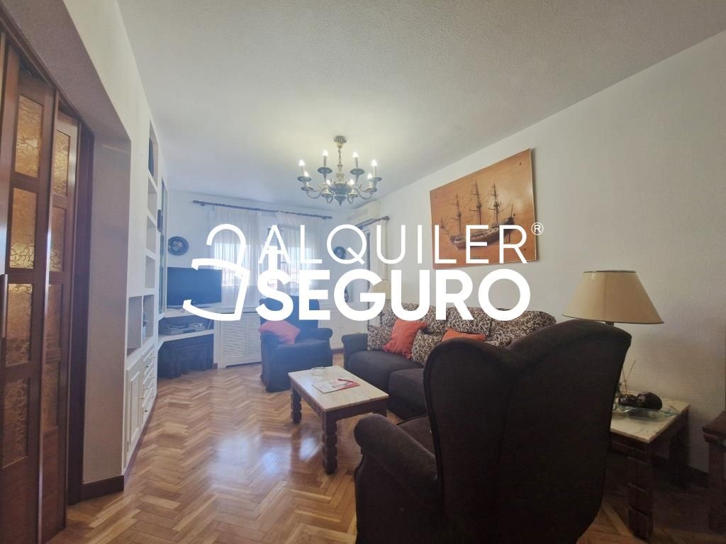 Living room of Flat to rent in  Madrid Capital  with Air Conditioner, Heating and Terrace