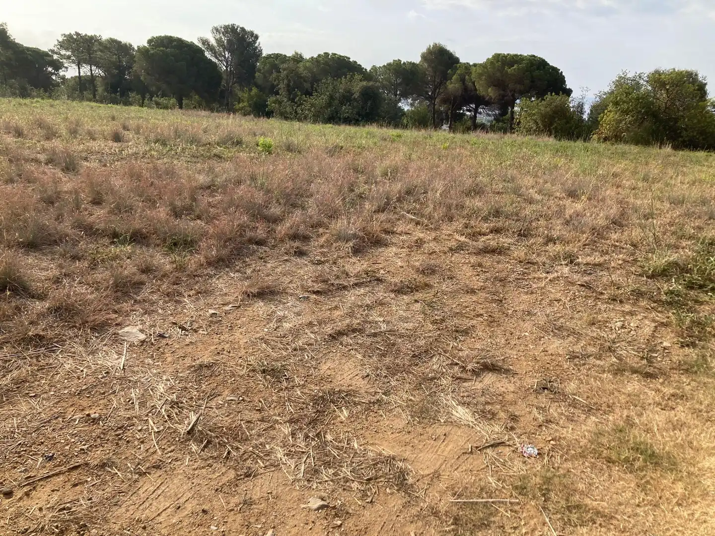 Terreno en venta en Pineda de Mar