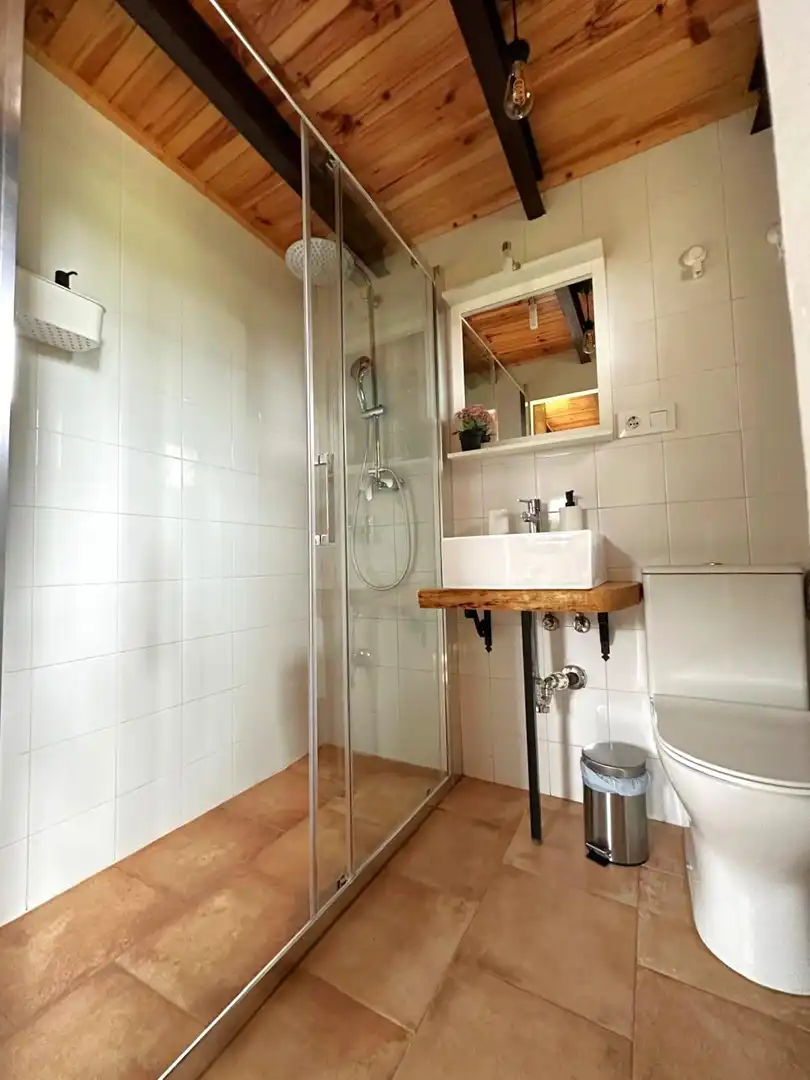 Bathroom of Houses for rent in Oviedo   with Heating, Terrace and Furnished