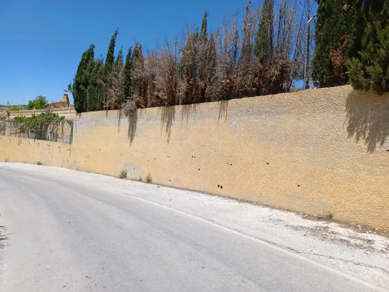 Terreni e lotti in vendita a De Cortes De Baza, imagen 56