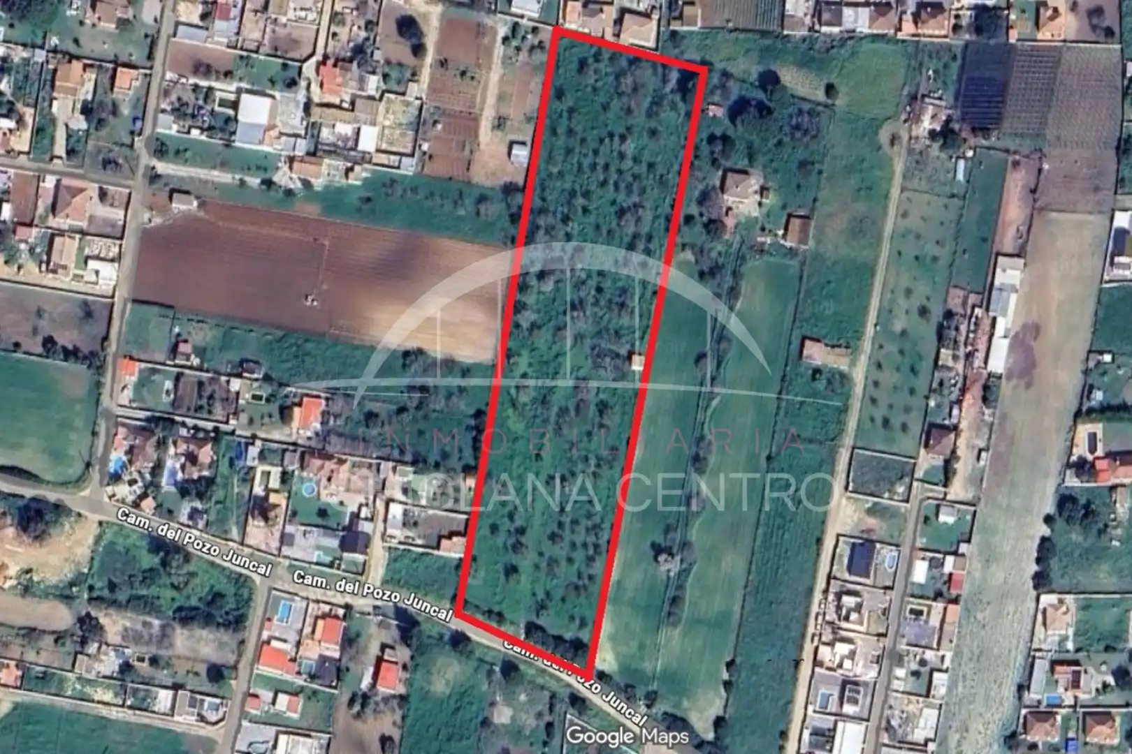 Terreni e lotti in vendita a Pelagatos - Pago del Humo, imagen 3