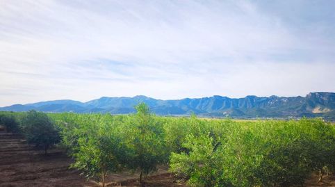 Se vende excelente finca rústica de 20 hanegadas, situada en el término municipal de Fortaleny Valencia. El terreno se encuentra p, imatge 2