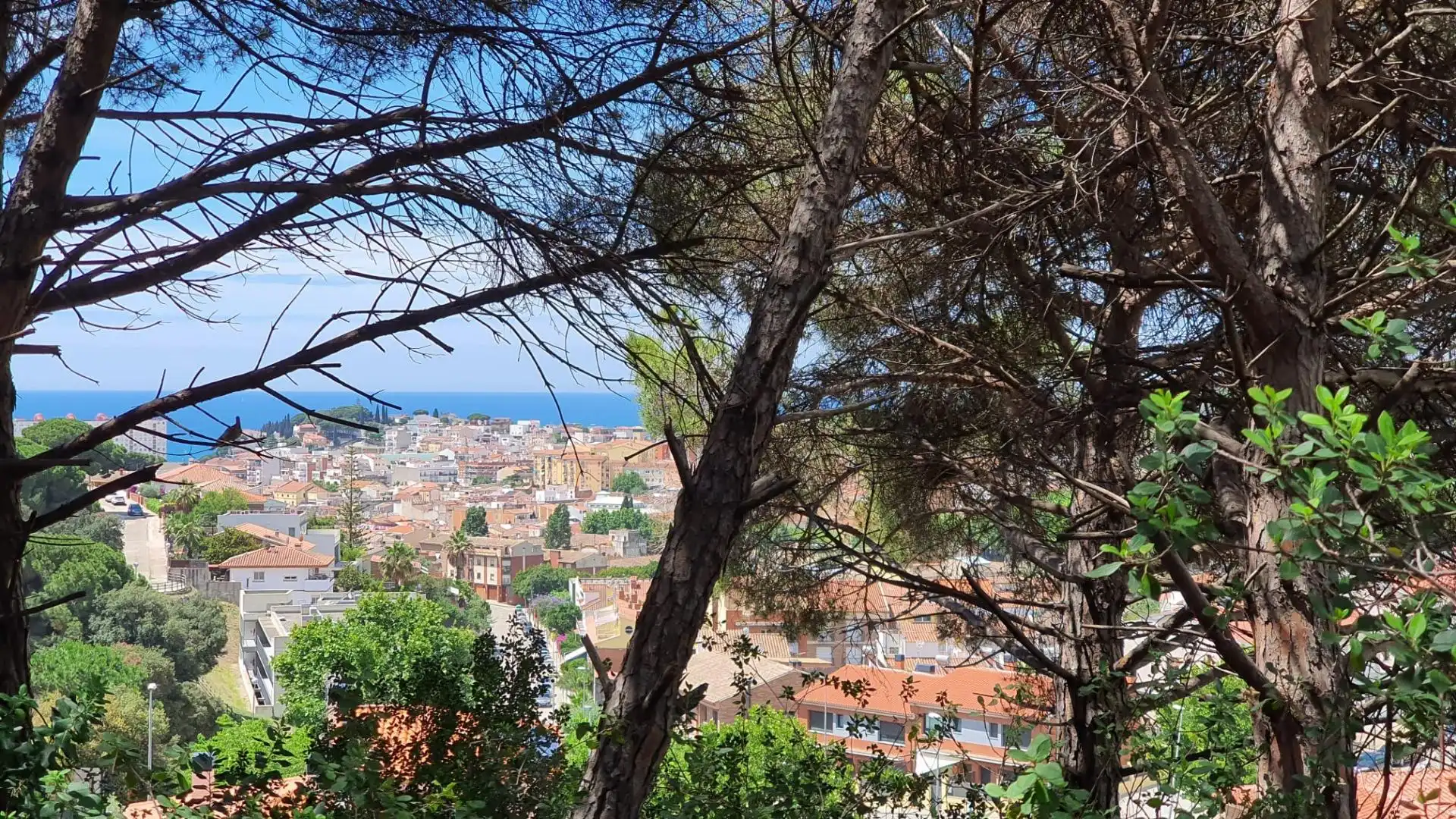 Vista exterior de Finca rústica en venta en Canet de Mar con Jardín privado