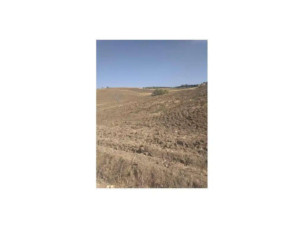 Terreny residencial en venda a Arriate, imagen 4