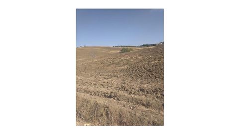 Finca para cultivo, Agua y Luz  Arriate, immagine 4