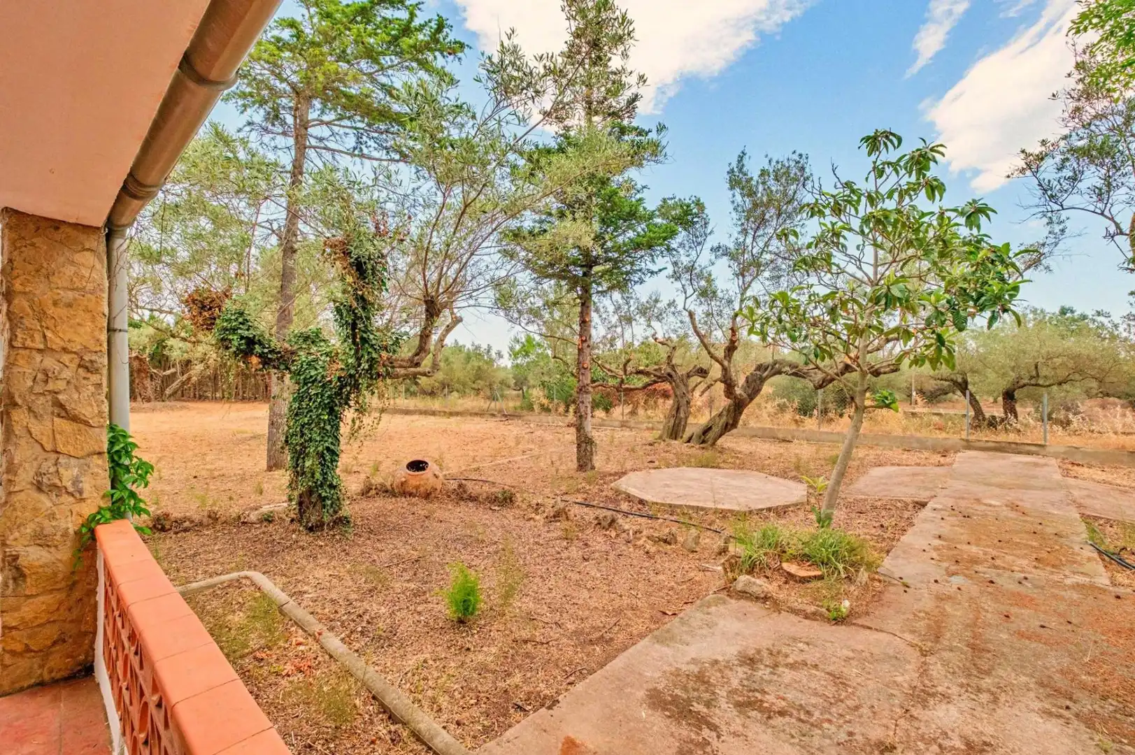 Jardí de Casa o xalet en venda en Tortosa amb Jardí privat