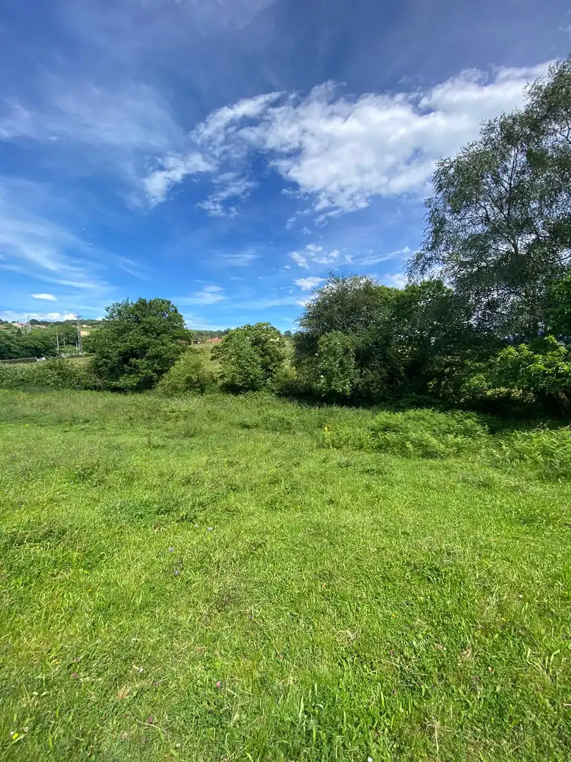 Residential land for sale in Lugones, imagen 2