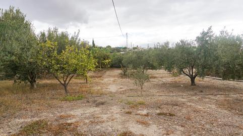 Photo 3 of Country house for sale in Camino Alejandro, Pechina, Almería