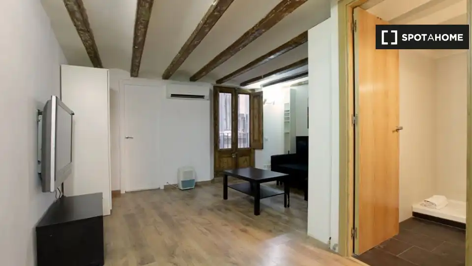 Flat for rent in Barcelona, Barcelona