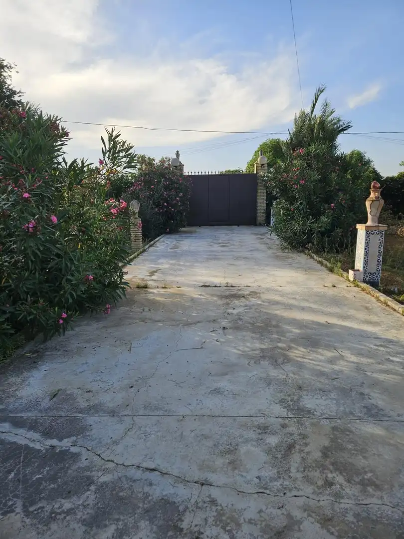 Haus mit Pool zum Verkauf in Pedanías Norte, imagen 10