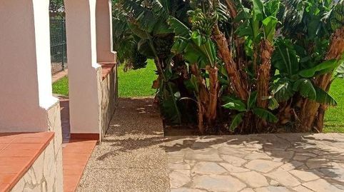 Chalet independiente con piscina privada, gran patio y pozo propio en El Zabal, La Línea de la Concepción