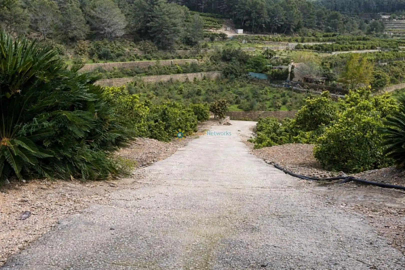 Casa o xalet en venda en Alfauir amb Jardí privat, Terrassa i Forn